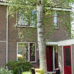 Salamanderlaan huizen