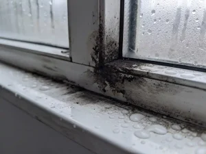 Verouderd wit PVC-kozijn met condensatievlekken, donkere schimmel in de hoeknaad en waterdruppels op de vensterbank.